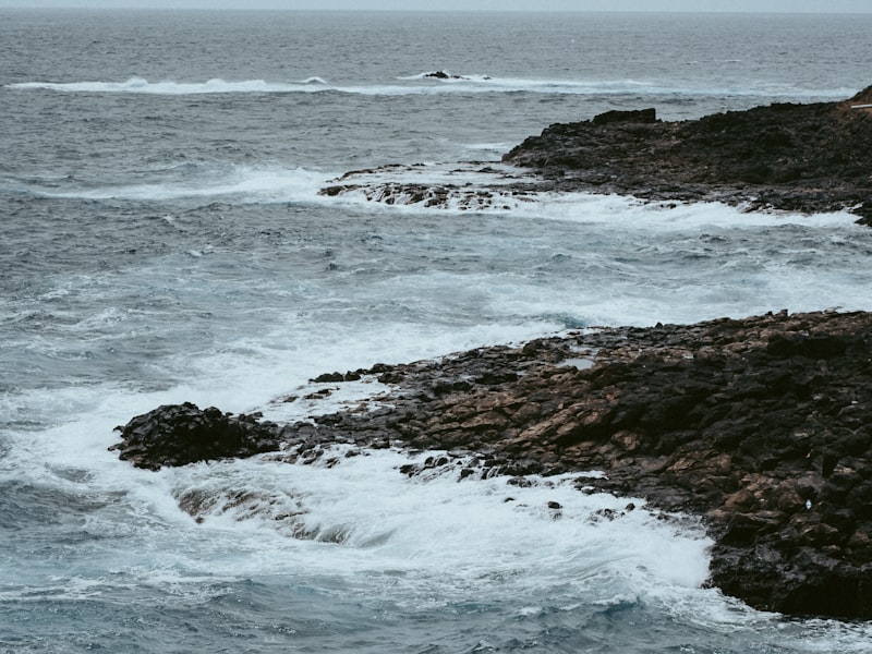 Компас — точный ориентир в правовом поле