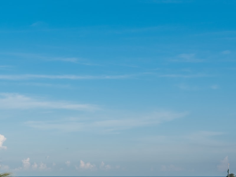 Компас — точный ориентир в правовом поле